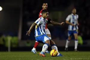 Barnsley - 03-12-2013 Prints: Brighton & Hove Albion vs Barnsley (03-12-2013) - A Home Game from the 2013-14 Season