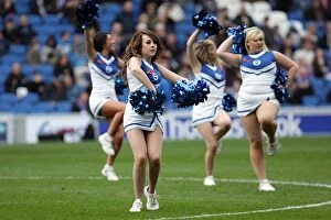 Images Dated 6th November 2011: Brighton & Hove Albion vs Barnsley (2011-12): Home Game Highlights