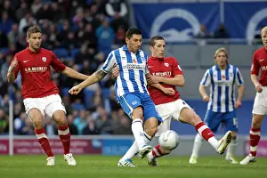 Barnsley 06-11-11 Prints: Brighton & Hove Albion vs Barnsley (2011-12): Home Game Highlights