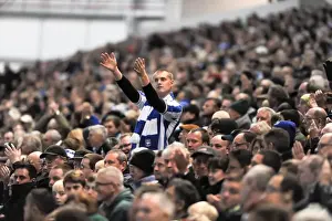 Barnsley 06-11-11 Prints: Brighton & Hove Albion vs Barnsley (2011-12): Home Game Highlights