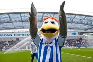 Brighton & Hove Albion vs Barnsley (2011-12): Home Game Highlights