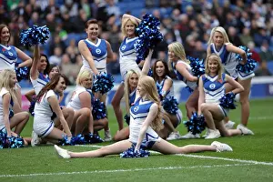 Brighton & Hove Albion vs Barnsley (2011-12): Home Game Highlights