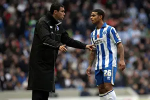 Barnsley 06-11-11 Prints: Brighton & Hove Albion vs Barnsley (2011-12): Home Game Highlights
