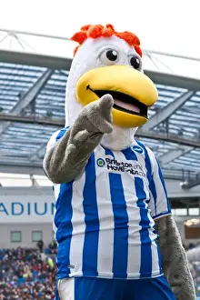 Barnsley 06-11-11 Prints: Brighton & Hove Albion vs Barnsley (2011-12): Home Game Highlights - Barnsley (06-11-11)