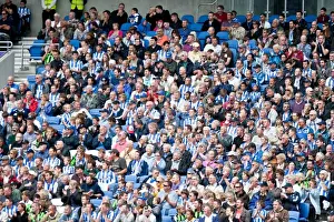 Brighton & Hove Albion vs Barnsley (2012-13): A Glance at a Past Home Game