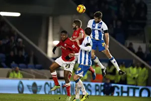 Barnsley - 03-12-2013 Prints: Brighton & Hove Albion vs Barnsley: 3-1 Dec 2013 (Home Game, 2013-14 Season)