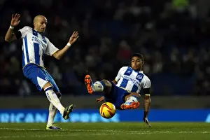 Barnsley - 03-12-2013 Prints: Brighton & Hove Albion vs Barnsley: 3-1 (Home Game, 2013-14 Season - December 3, 2013)