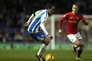 Barnsley - 03-12-2013 Prints: Brighton & Hove Albion vs Barnsley: 3-1 (Home Game, 2013-14 Season - December 3, 2013)