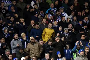 Barnsley - 03-12-2013 Prints: Brighton & Hove Albion vs Barnsley: 3-1 (Home Game, 2013-14 Season - December 3, 2013)