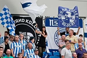 Images Dated 25th August 2012: Brighton & Hove Albion vs Barnsley: 2012-13 Home Game