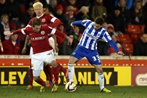 Images Dated 12th March 2013: Brighton & Hove Albion vs Barnsley: Away Game - March 12, 2013 (Season 2012-13)