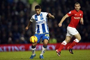 Images Dated 3rd December 2013: Brighton & Hove Albion vs Barnsley: 3-1 Dec 2013 (Home Game, 2013-14 Season)