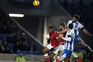 Images Dated 3rd December 2013: Brighton & Hove Albion vs Barnsley: 3-1 (Home Game, 2013-14 Season - December 3, 2013)