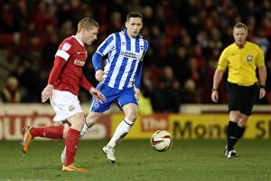 Images Dated 12th March 2013: Brighton & Hove Albion vs. Barnsley (Away): 12-03-2013