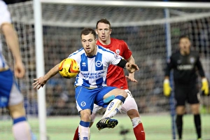 Barnsley - 03-12-2013 Prints: Brighton & Hove Albion vs Barnsley: Dec. 3, 2013 - Home Game, Season 2013-14