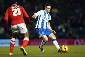 Brighton & Hove Albion vs Barnsley: Home Game (December 3, 2013)