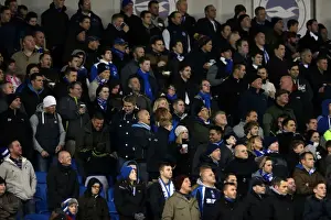 Brighton & Hove Albion vs Barnsley: Home Game - December 3, 2013 (Season 2013-14)