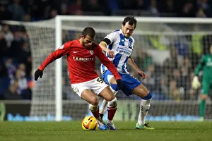 Barnsley - 03-12-2013 Prints: Brighton & Hove Albion vs Barnsley: Home Game - December 3, 2013