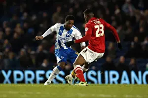 Barnsley - 03-12-2013 Prints: Brighton & Hove Albion vs Barnsley: Home Game - December 3, 2013