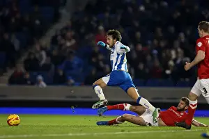 Brighton & Hove Albion vs Barnsley: Home Game - December 3, 2013