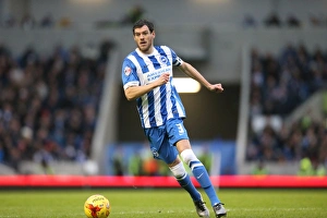 Brighton and Hove Albion vs Birmingham City: Sky Bet Championship Showdown at American Express Community Stadium (November 28, 2015)