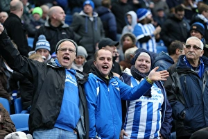 Brighton and Hove Albion vs Birmingham City: Sky Bet Championship Showdown at American Express Community Stadium (Nov 2015)