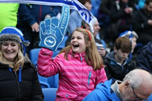 Birmingham City 28NOV15 Prints: Brighton & Hove Albion vs Birmingham City