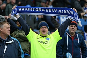 Birmingham City 28NOV15 Prints: Brighton and Hove Albion vs Birmingham City