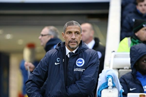 Brighton and Hove Albion vs Birmingham City: Sky Bet Championship Showdown at American Express Community Stadium (November 28, 2015)