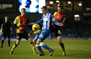 Brighton and Hove Albion vs Birmingham City: Sky Bet Championship Showdown at American Express Community Stadium (November 28, 2015)