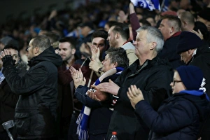Brighton and Hove Albion vs Birmingham City: Sky Bet Championship Showdown at American Express Community Stadium (November 28, 2015)
