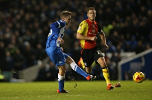 Brighton and Hove Albion vs Birmingham City: Sky Bet Championship Showdown at American Express Community Stadium (November 28, 2015)