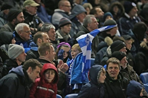 Brighton and Hove Albion vs Birmingham City: Sky Bet Championship Showdown at American Express Community Stadium (November 28, 2015)