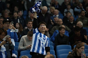 Brighton and Hove Albion vs Birmingham City: EFL Sky Bet Championship Showdown at American Express Community Stadium (04APR17)