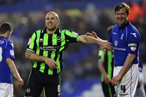 Birmingham City - 19-01-2013 Prints: Brighton & Hove Albion vs Birmingham City: 2012-13 Away Game