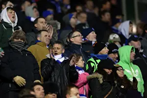 Birmingham City - 19-01-2013 Prints: Brighton & Hove Albion vs Birmingham City: 2012-13 Away Game