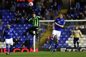 Birmingham City - 19-01-2013 Prints: Brighton & Hove Albion vs. Birmingham City: 2012-13 Away Game