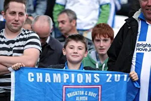 Brighton & Hove Albion vs Birmingham City: 2012-13 Home Game