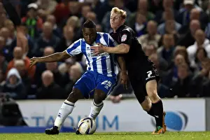 Birmingham City - 29-09-12 Prints: Brighton & Hove Albion vs. Birmingham City (2012-13): Home Game Highlights
