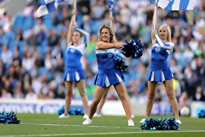 Brighton & Hove Albion vs. Birmingham City (2012-13) - Home Game Highlights: A Look Back at the 29-09-12 Match
