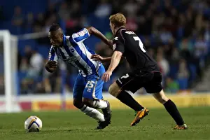 Birmingham City - 29-09-12 Prints: Brighton & Hove Albion vs. Birmingham City (2012-13) - Home Game Highlights: September 29
