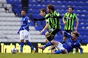 Birmingham City - 19-01-2013 Prints: Brighton & Hove Albion vs. Birmingham City: 2012-13 Season Away Game