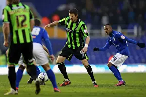 Birmingham City - 19-01-2013 Prints: Brighton & Hove Albion vs. Birmingham City: 2012-13 Season Away Game Highlights