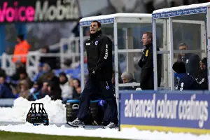 Birmingham City - 19-01-2013 Prints: Brighton & Hove Albion vs. Birmingham City: A 2012-13 Season Showdown - January 19th