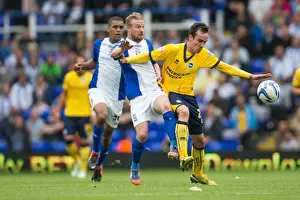 Birmingham City - 17-08-2013 Prints: Brighton & Hove Albion vs. Birmingham City: 2013-14 Away Game