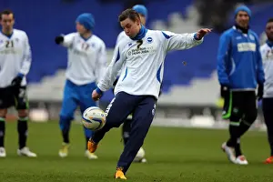 Brighton & Hove Albion vs. Birmingham City: 2013 Away Game