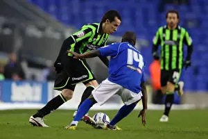 Birmingham City - 19-01-2013 Prints: Brighton & Hove Albion vs Birmingham City: 2013 Away Game (Season 2012-13)