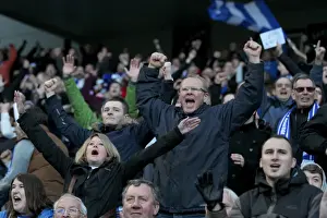 Brighton & Hove Albion vs. Birmingham City: A 2014-15 Home Battle (21FEB15)