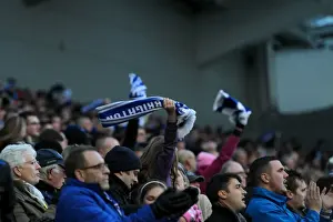 Brighton & Hove Albion vs. Birmingham City: 21st February 2015 - Home Game