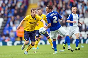 Brighton & Hove Albion vs. Birmingham City: Away Game (2013-14 Season)